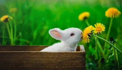 米兰体育网址-河南建业主场击败南昌八一队，取得三连胜，河南建业球队最新消息